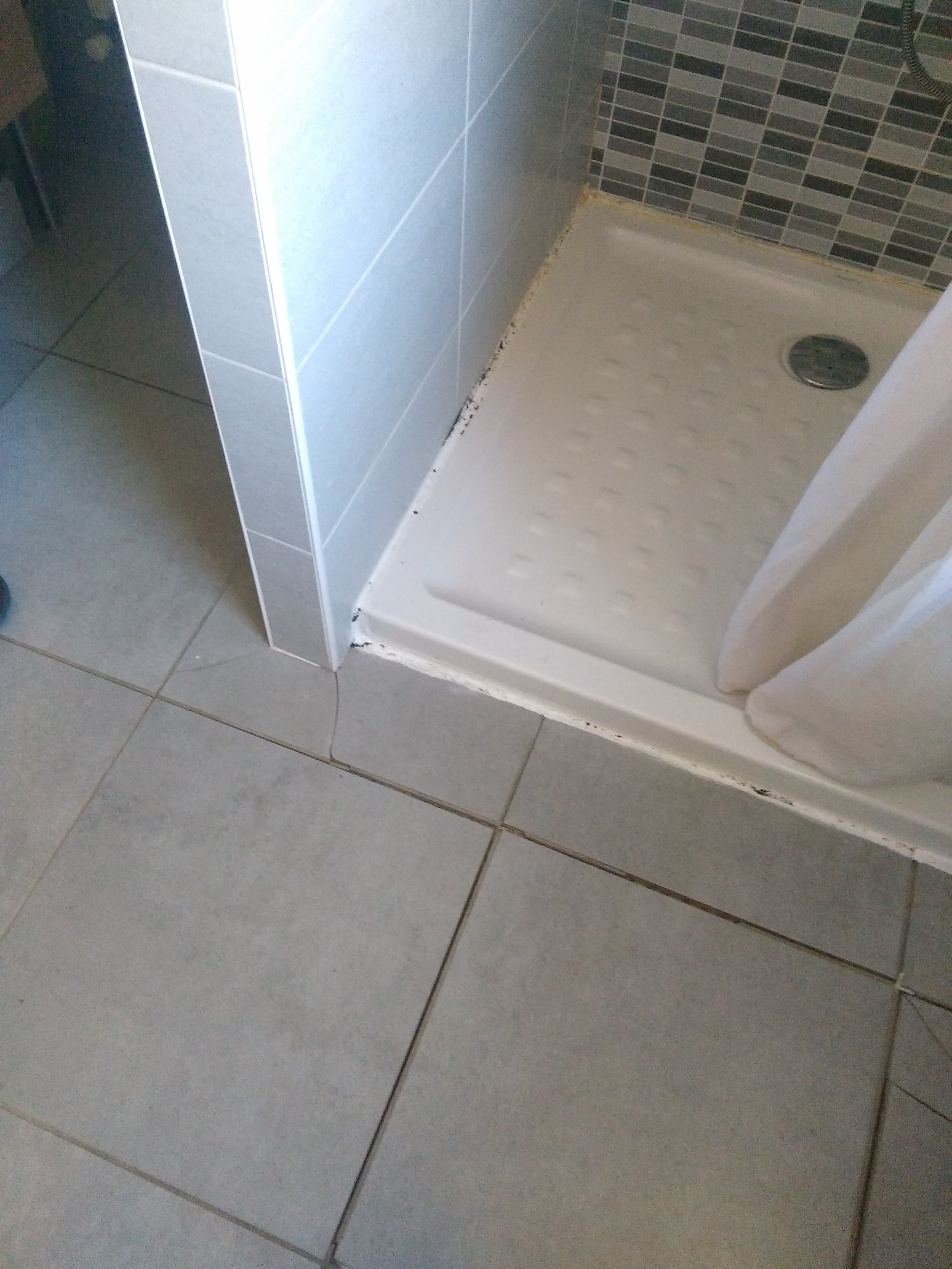 Receveur douche en cours